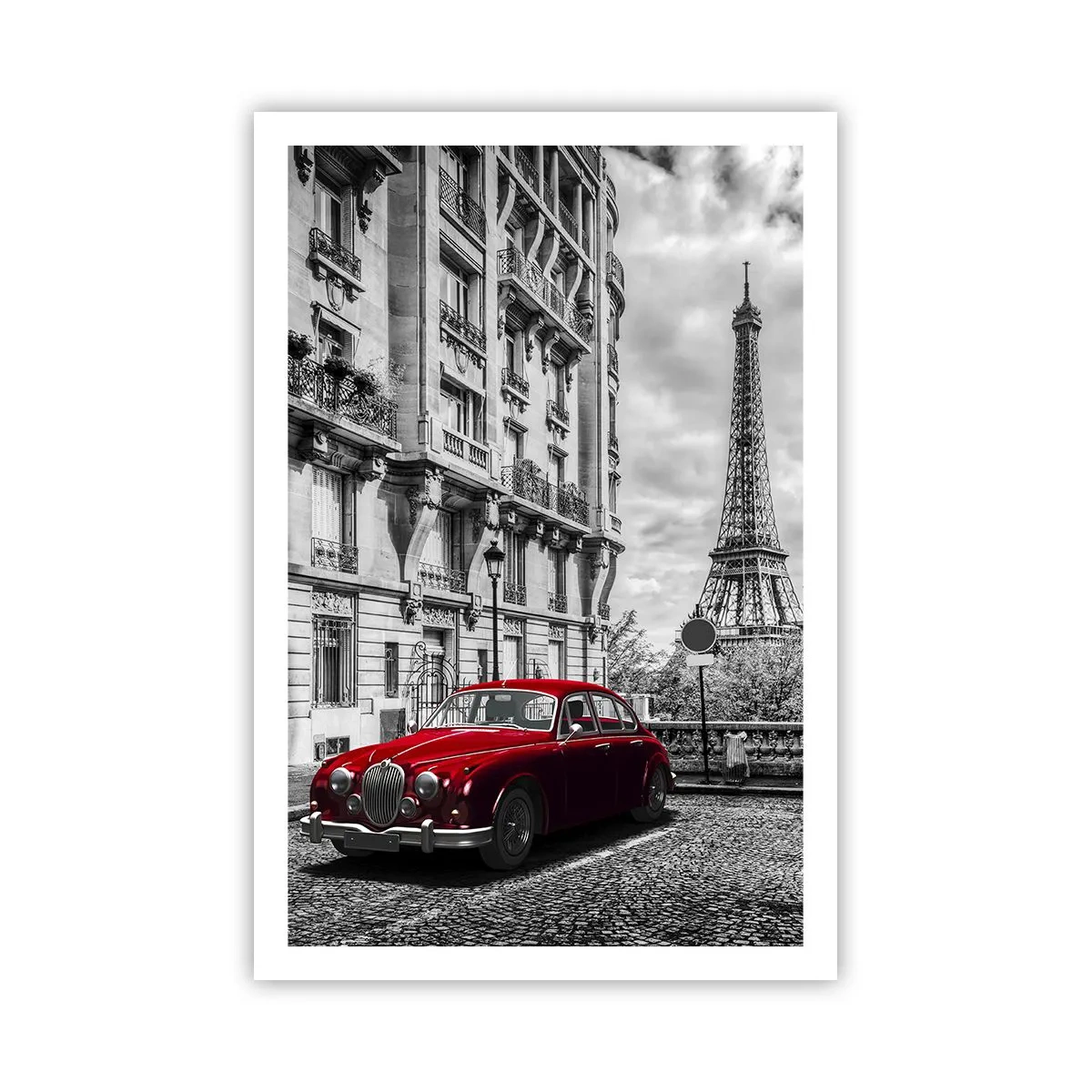 Pôster - Predador na cidade - 61x91 cm