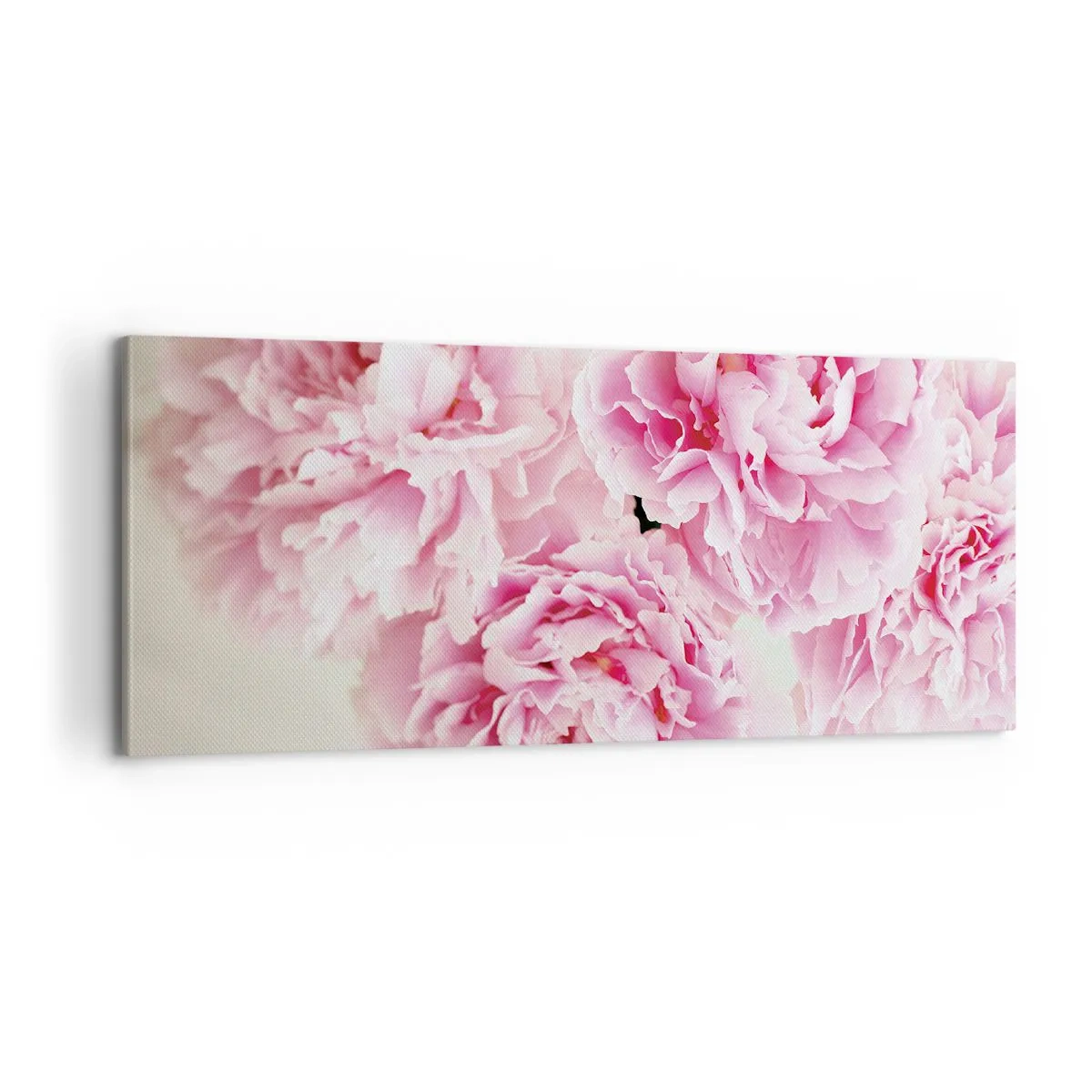 Quadro em tela - Em esplendor rosa - 100x40 cm