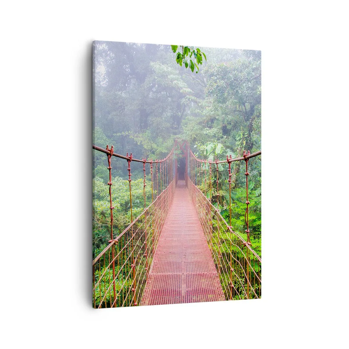 Quadro em tela - Suspenso acima das copas - 50x70 cm