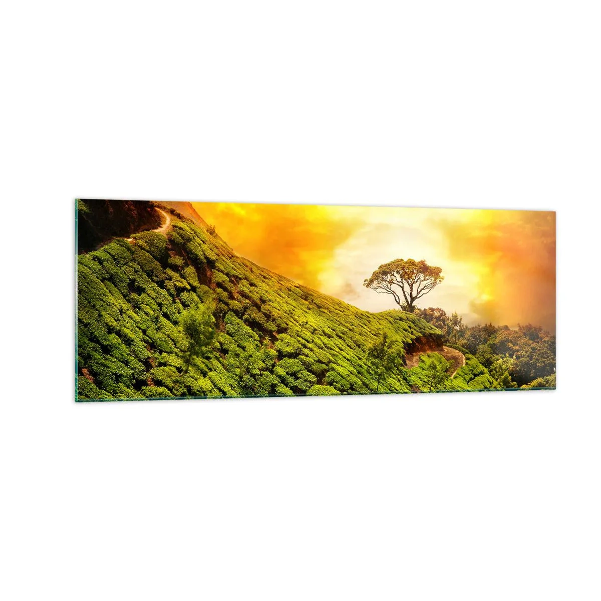 Quadro em vidro - Um caminho sinuoso, uma encosta verde - 140x50 cm