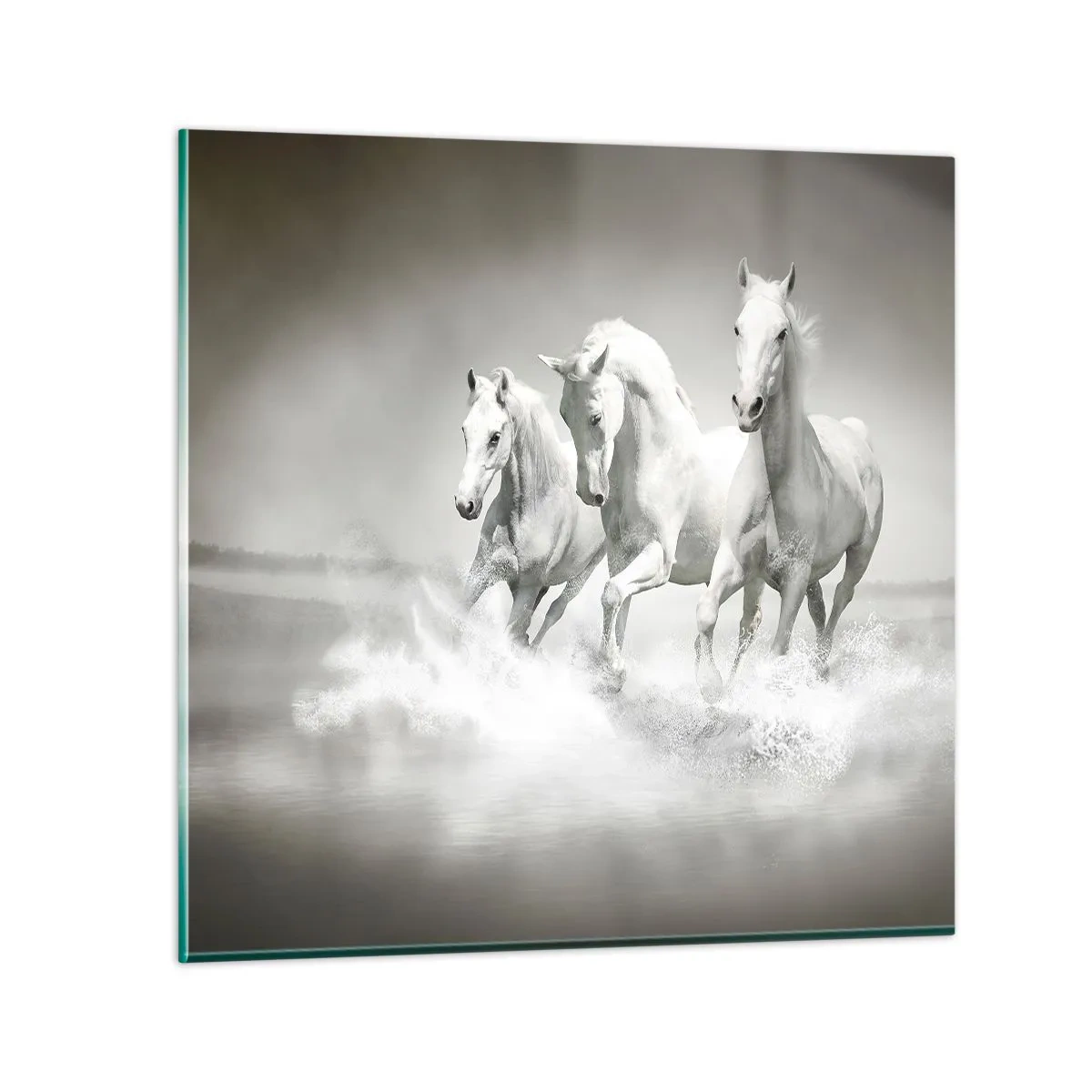 Quadro em vidro - Loucura branca - 40x40 cm