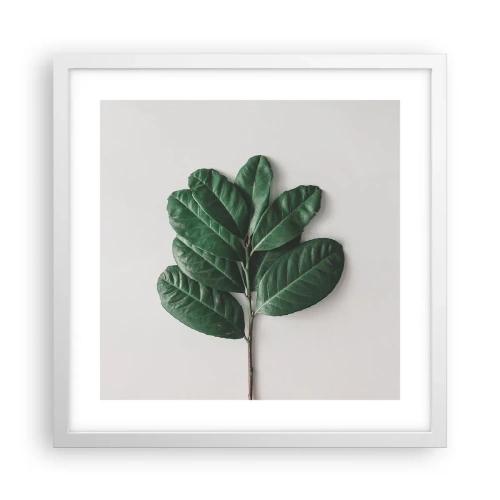 Pôster em moldura branca - Desenho da própria natureza - 40x40 cm
