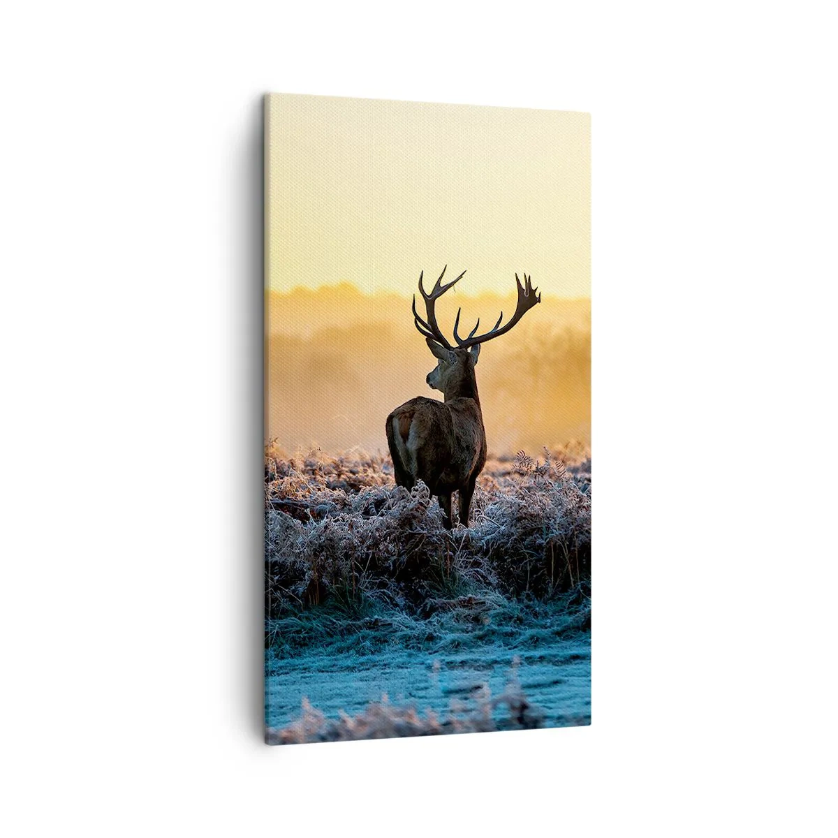 Quadro em tela - Coroado em sua terra - 45x80 cm