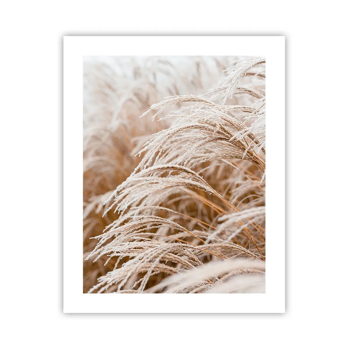 Pôster - Curvar-se ao sol de outono - 40x50 cm