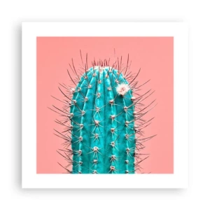 Pôster - Apenas olhe - 40x40 cm