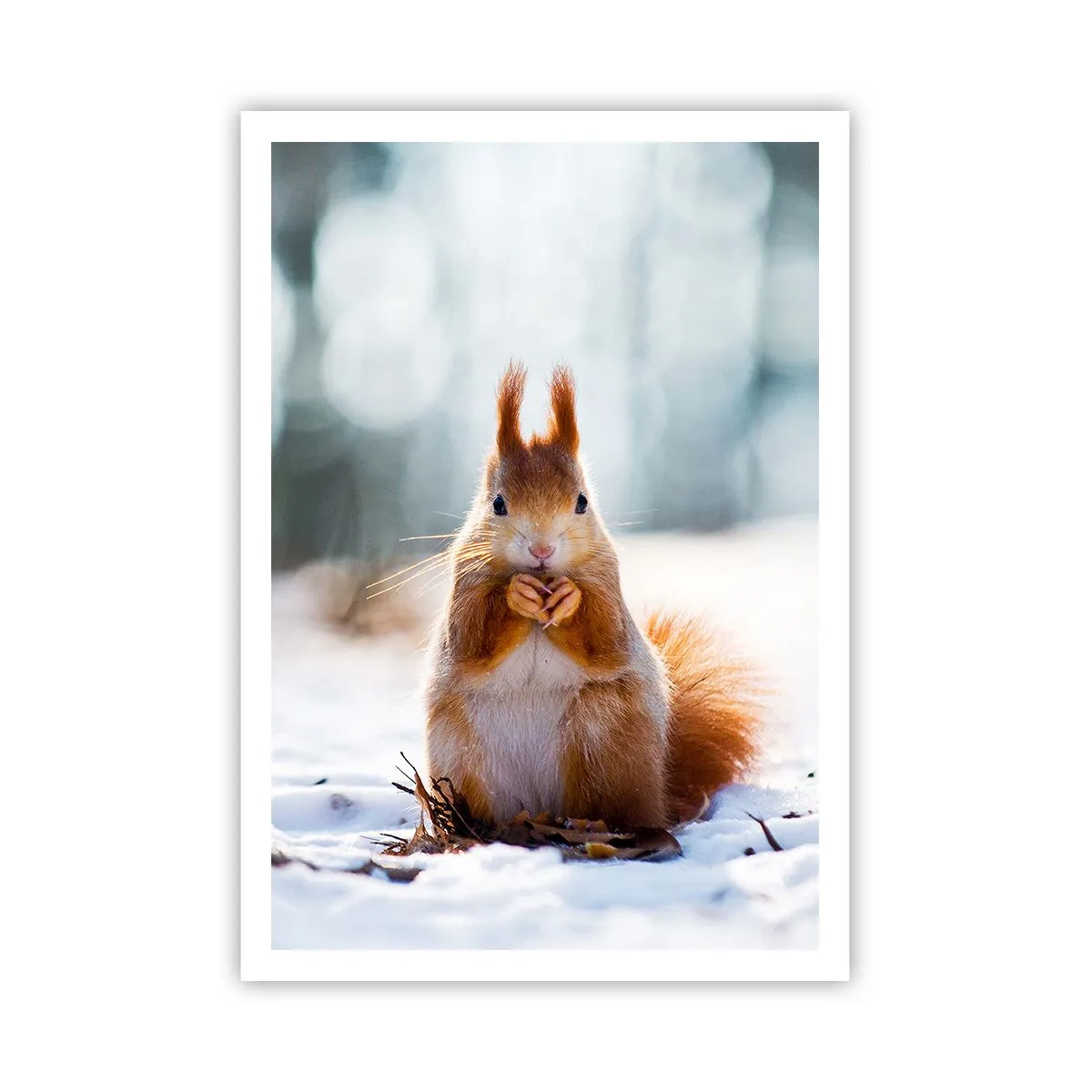 Pôster - Para o que estás a olhar? - 70x100 cm