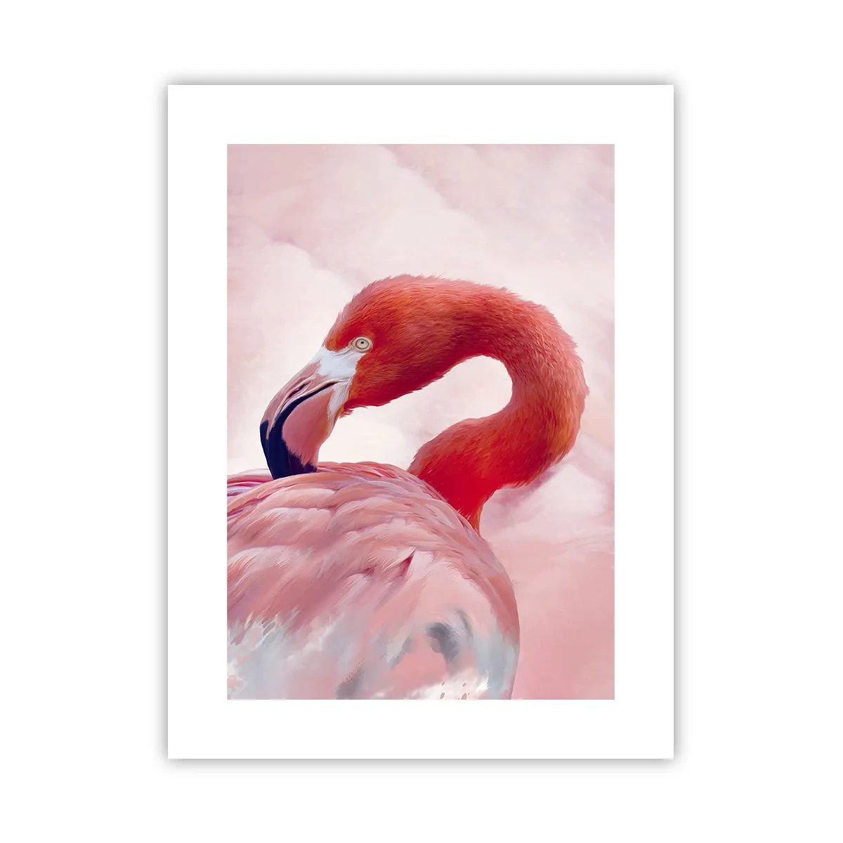 Pôster - Beleza das aves - 30x40 cm