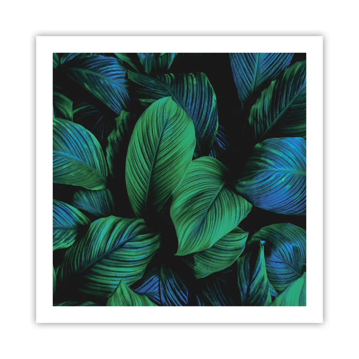 Pôster - Na multidão verde - 60x60 cm