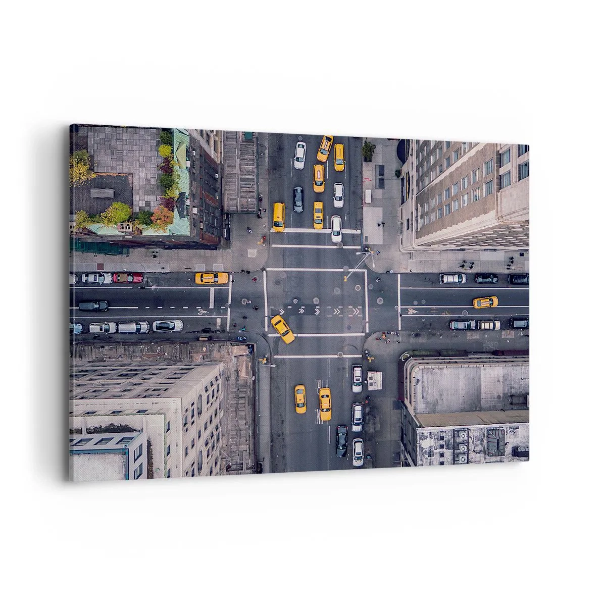 Quadro em tela - Escolha simples - 100x70 cm