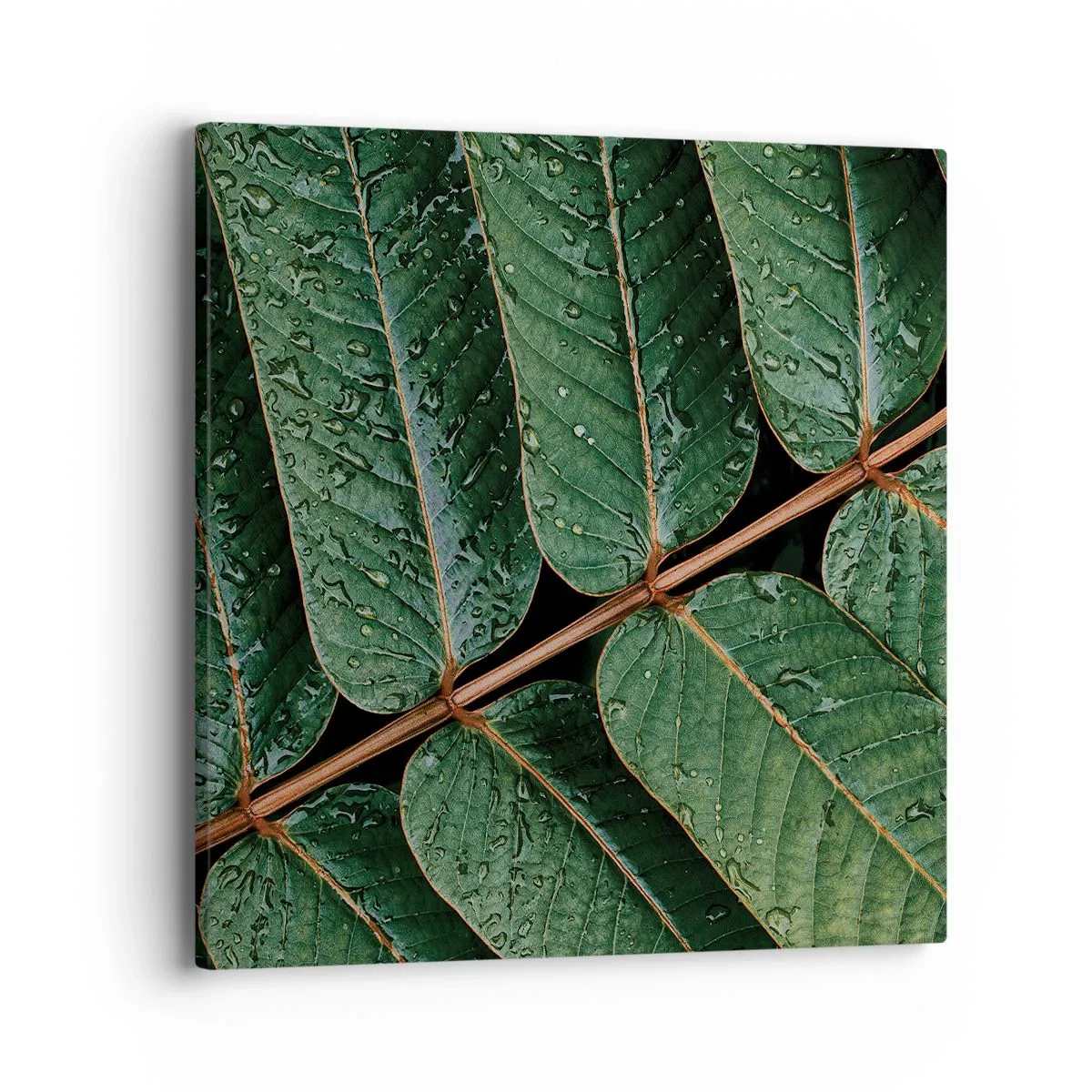 Quadro em tela - Num ritmo verde - 40x40 cm