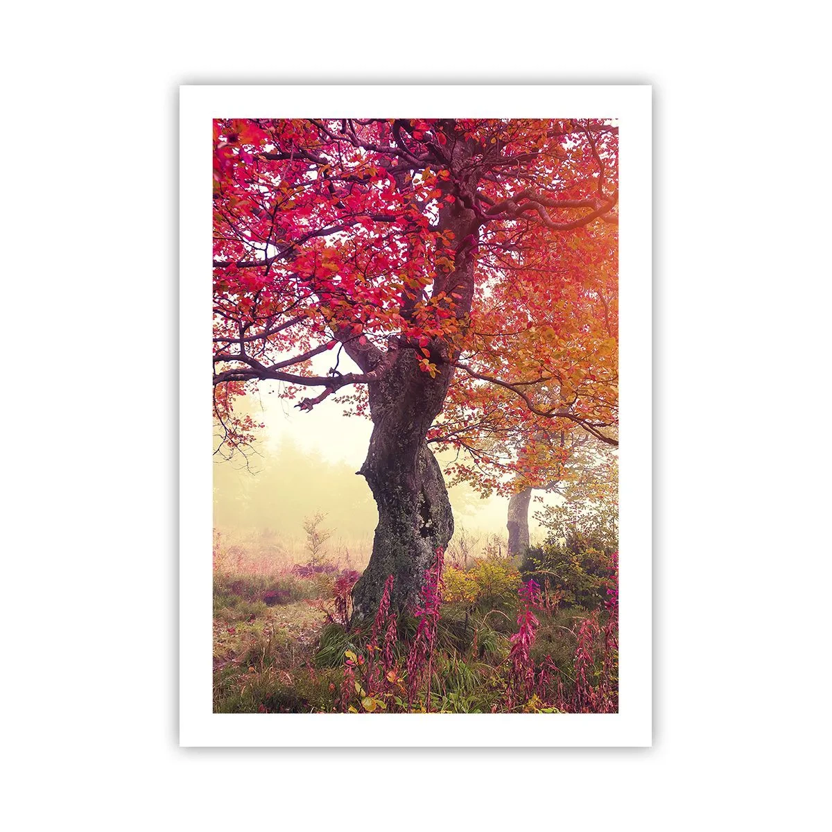 Pôster - Um frenesi de florescimento - 50x70 cm