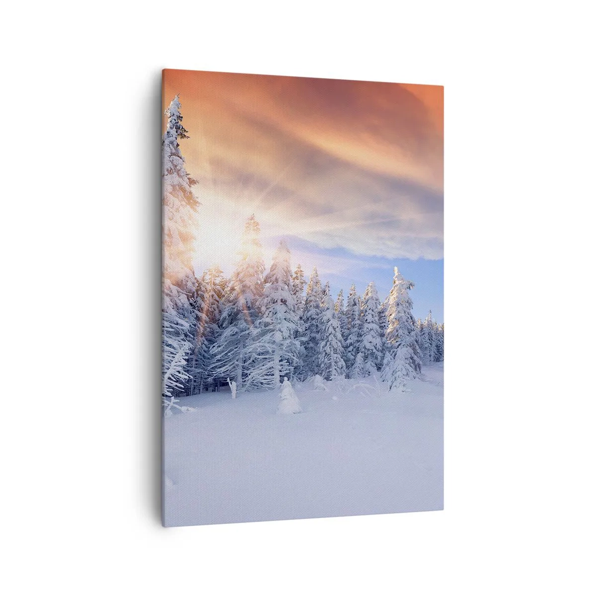 Quadro em tela - Espetáculo de neve da natureza - 70x100 cm
