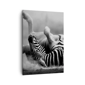 Quadro em tela - Vai dar zebra - 50x70 cm
