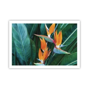 Pôster - É uma flor ou é um pássaro? - 91x61 cm