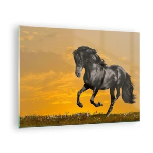 Quadro em vidro - Um cavalo preto galopando contra o pôr do sol - 70x50cm - Belo, livre e selvagem - Decoração de parede moderna para a sala de estar e quarto ARTTOR