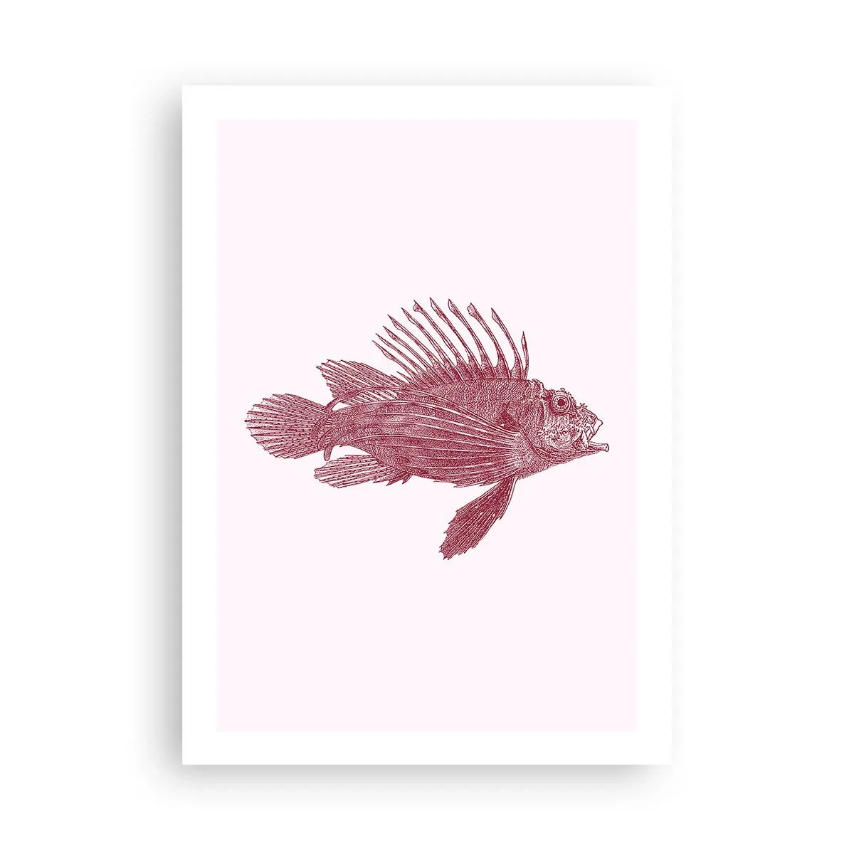 Pôster - Um habitante de águas exóticas - 50x70 cm