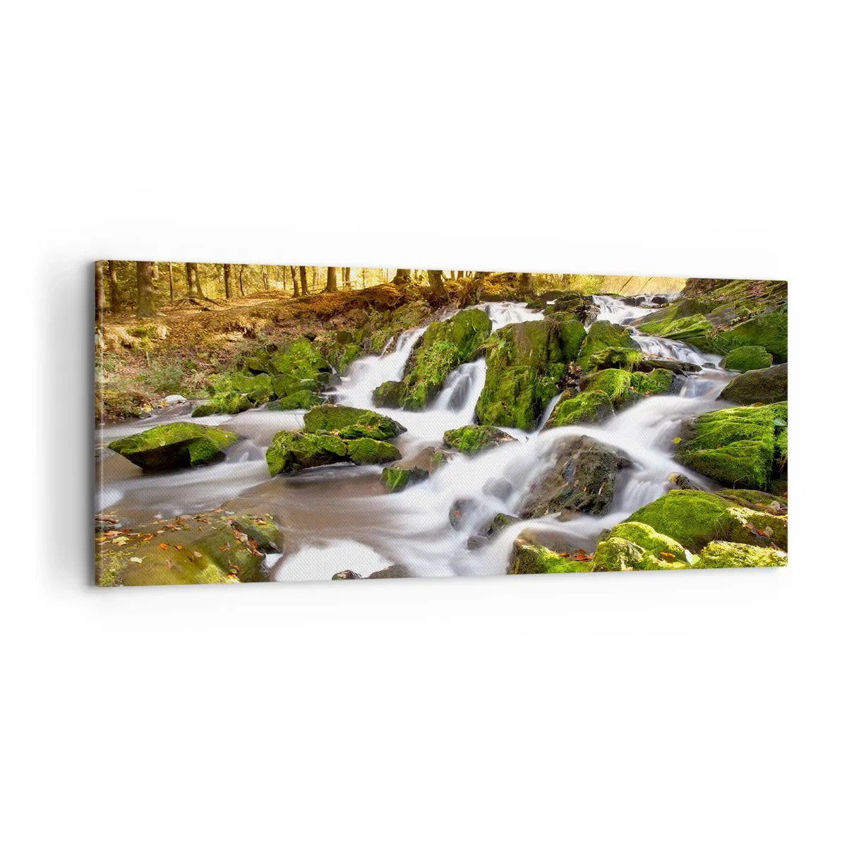Quadro em tela - Pela floresta de outono - 100x40 cm