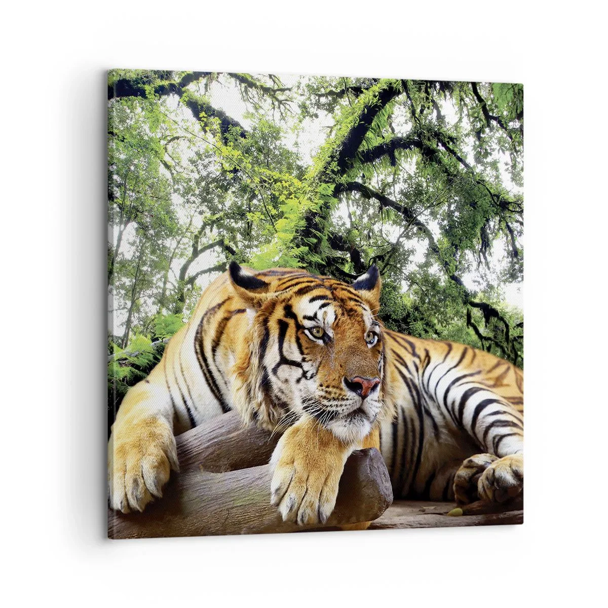 Quadro em tela - Com os melhores cumprimentos - 60x60 cm