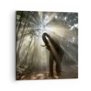 Quadro em tela - Sob a estrela da sorte - 70x70 cm