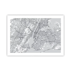 Pôster - Anatomia de uma metrópole - 70x50 cm