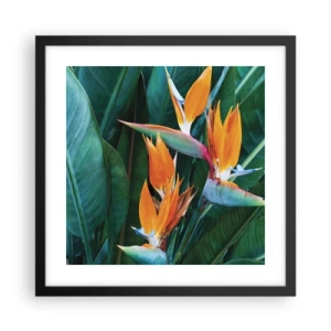 Pôster com moldura preta - É uma flor ou é um pássaro? - 40x40 cm