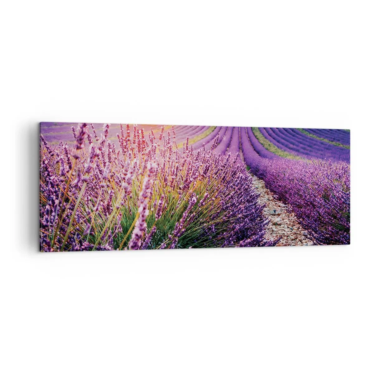Quadro em tela - Prado perfumado - 140x50 cm