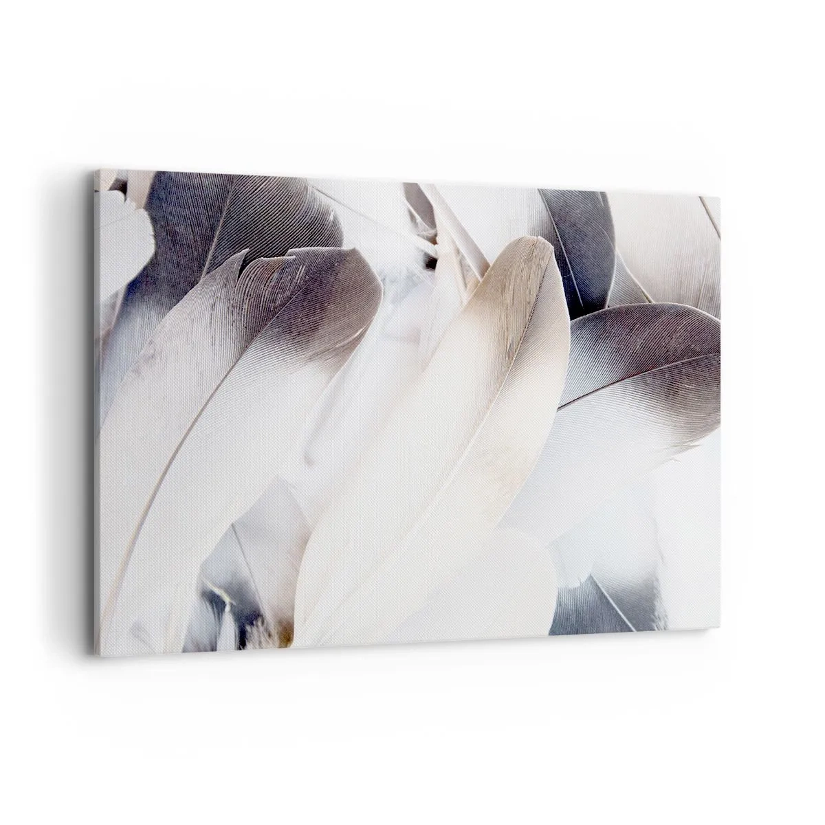 Quadro em tela - Semi-angelical - 120x80 cm