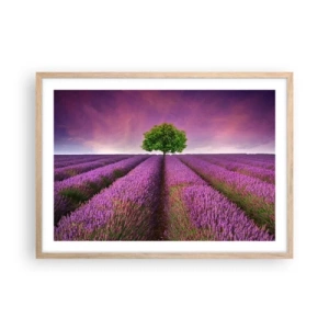 Pôster com moldura de carvalho claro - Nos campos de lavanda - 70x50 cm