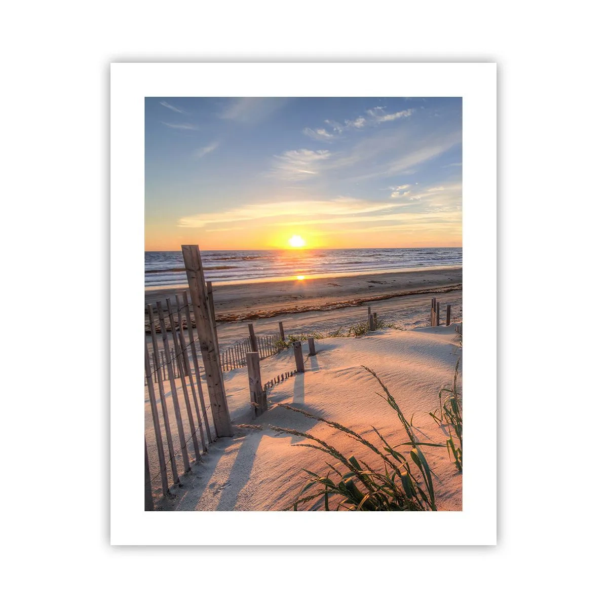 Pôster - Brilho e sombra do vento - 40x50 cm