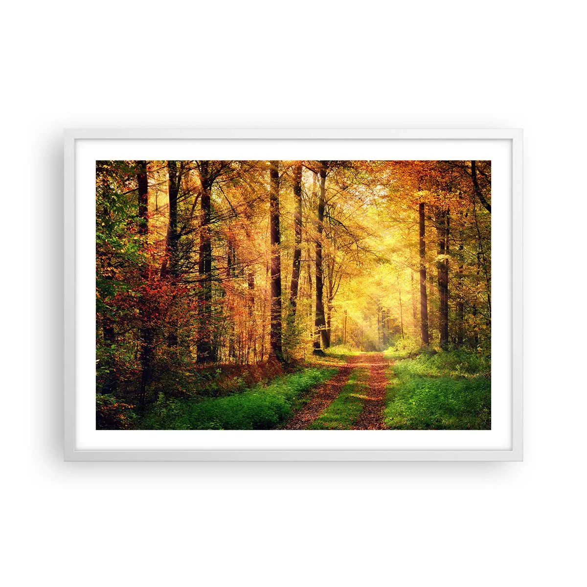 Pôster em moldura branca - Silêncio dourado da floresta - 70x50 cm