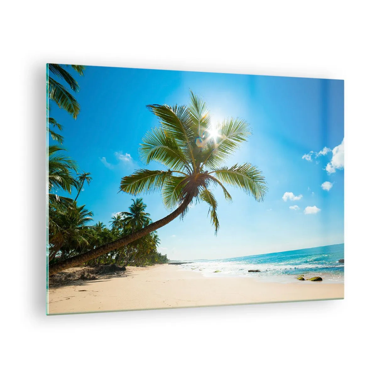 Quadro em vidro - Praia tropical com palmeiras e céu azul - 70x50cm - Não mostre a ninguém - Decoração de parede moderna para a sala de estar e quarto ARTTOR