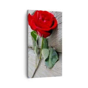 Quadro em tela - Um estudo em vermelho - 45x80 cm