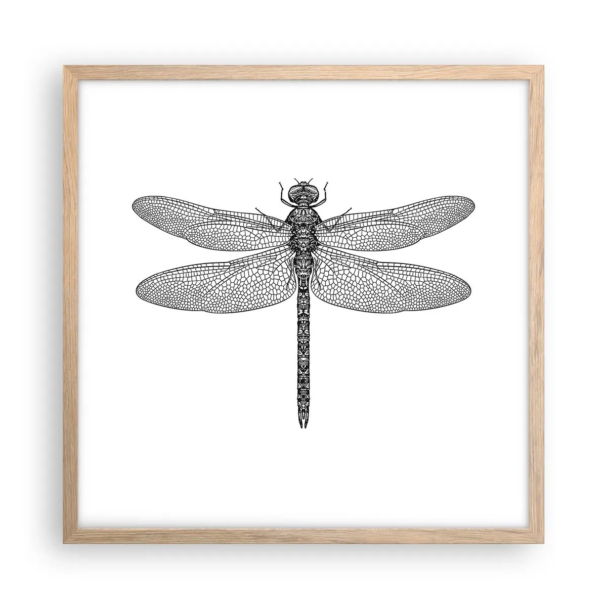 Pôster com moldura de carvalho claro - Precisão da natureza - 50x50 cm