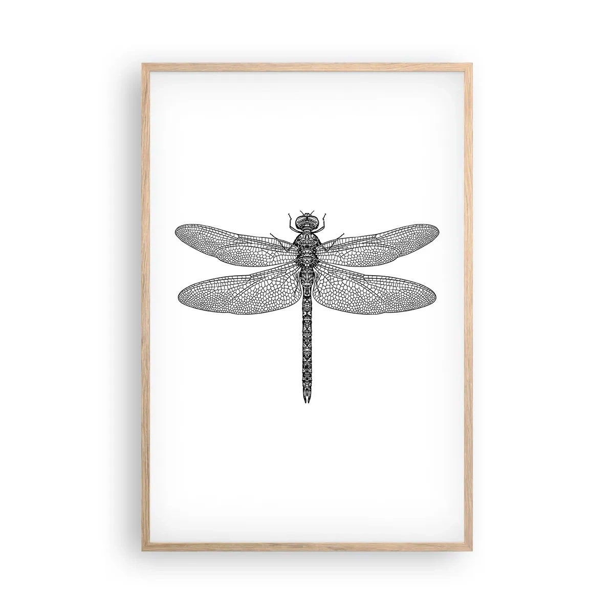 Pôster com moldura de carvalho claro - Precisão da natureza - 61x91 cm