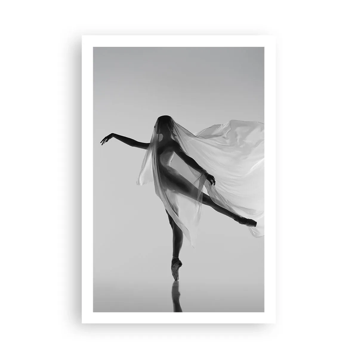 Pôster - Leveza e graça - 61x91 cm