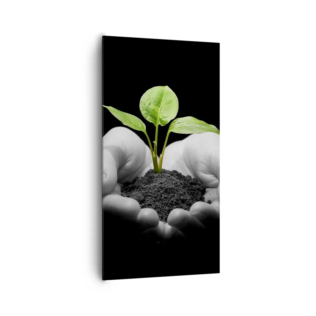 Quadro em tela - Eu amo a natureza, eu a protejo - 65x120 cm