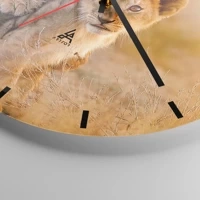 Mostrador com traços