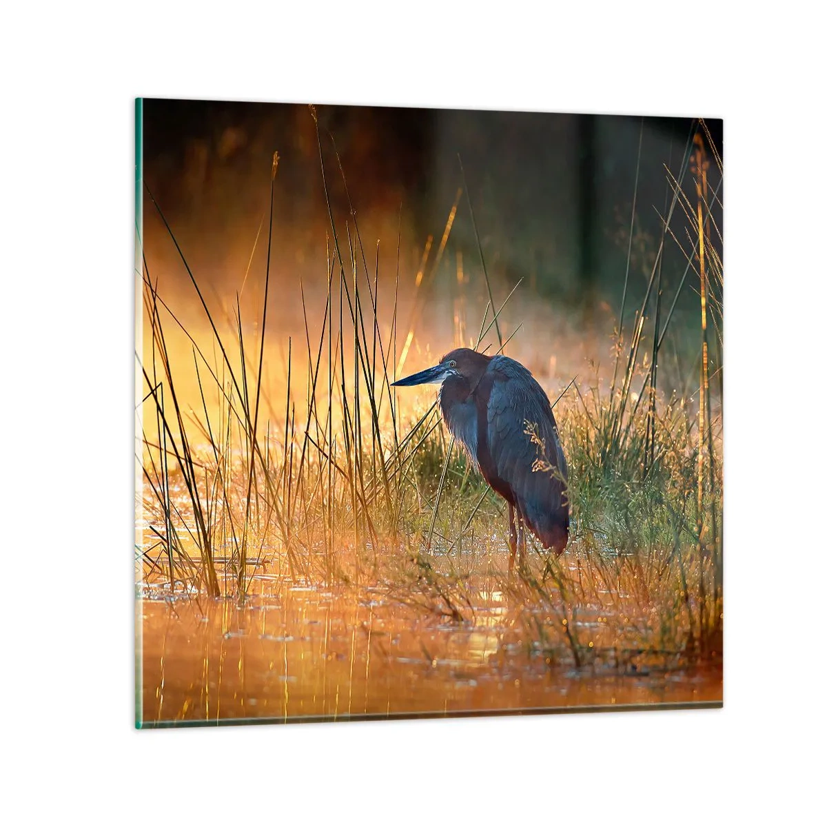 Quadro em vidro - Já chega de fotos - 40x40 cm