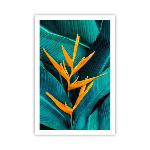 Pôster - Flor do Éden - 61x91 cm