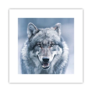 Pôster - Vai aceitar o desafio? - 30x30 cm