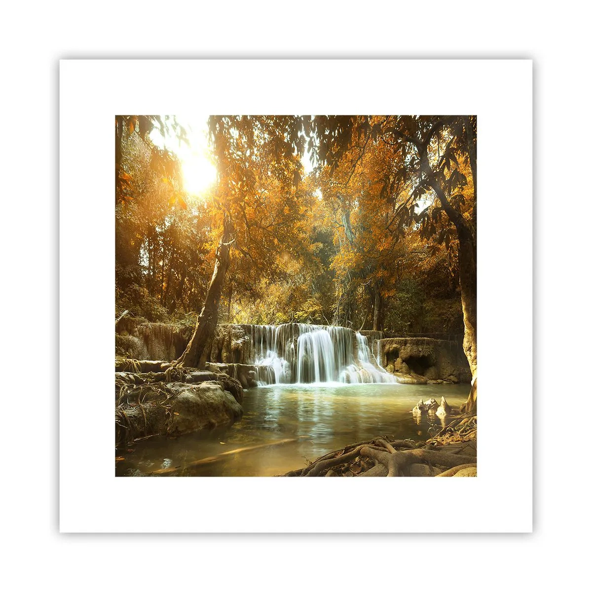 Pôster - A cascata do parque - 30x30 cm