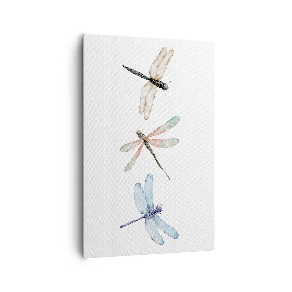 Quadro em tela - Libélulas sem peso - 80x120 cm