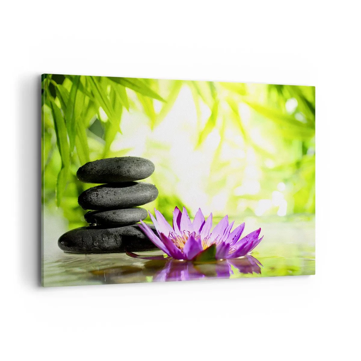 Quadro em tela - Em um arbusto de bambu - 100x70 cm