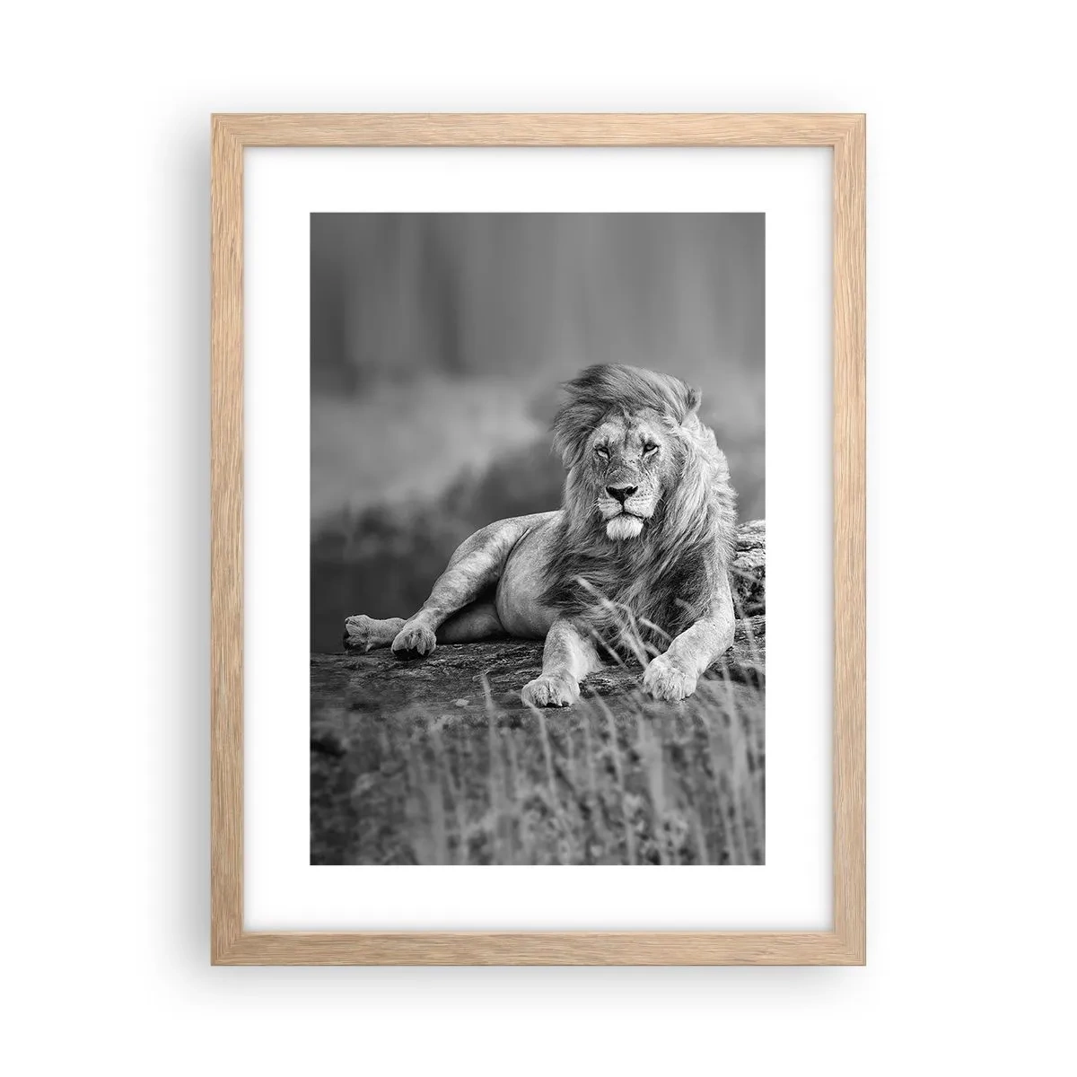 Pôster com moldura de carvalho claro - Sesta real - 30x40 cm