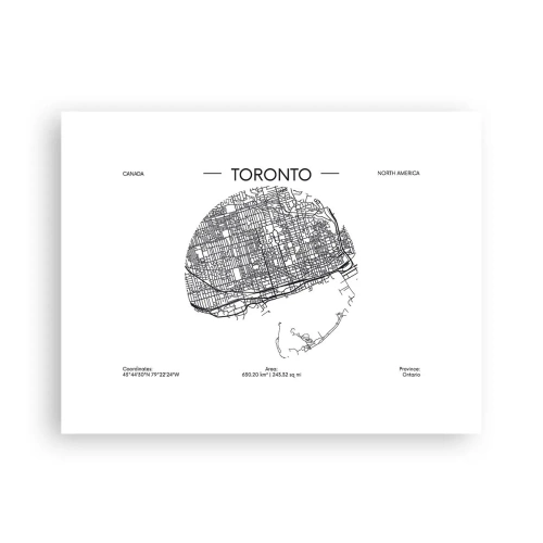 Pôster - Anatomia de Toronto - 40x30 cm
