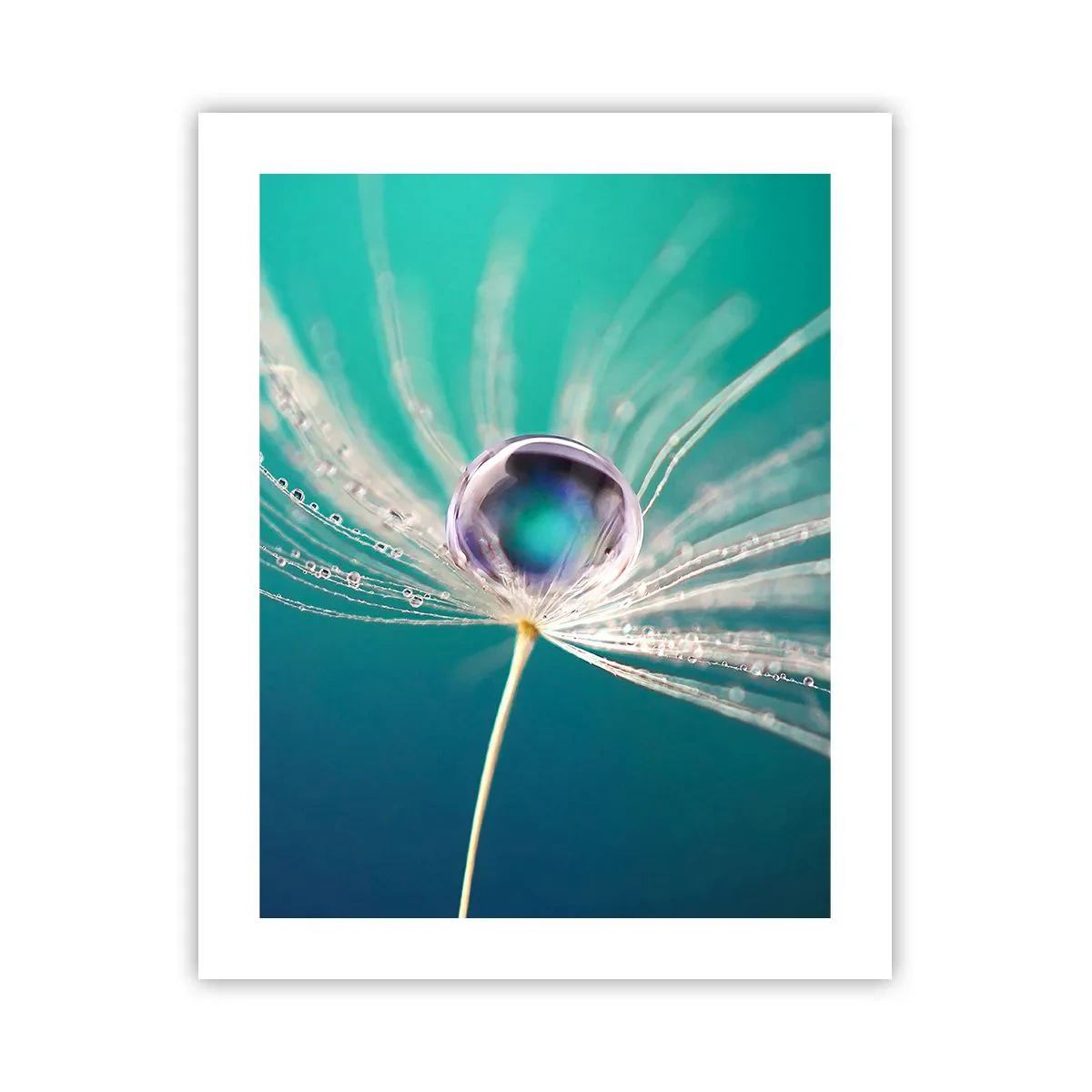 Pôster - Momento místico - 40x50 cm