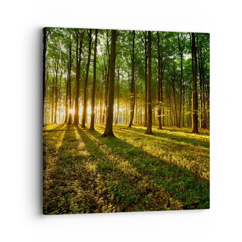 Quadro em tela - Fotografia de todas as primaveras - 30x30 cm
