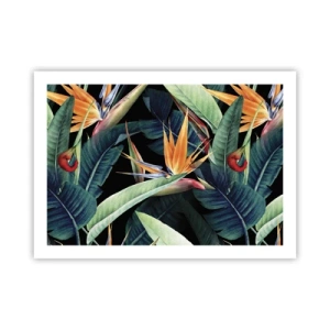 Pôster - Flores ardentes dos trópicos - 70x50 cm