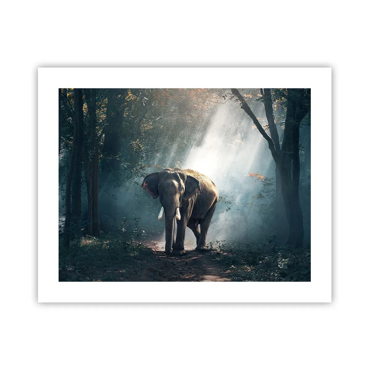 Pôster - Um passeio descontraído - 50x40 cm