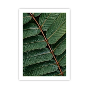 Pôster - Num ritmo verde - 50x70 cm